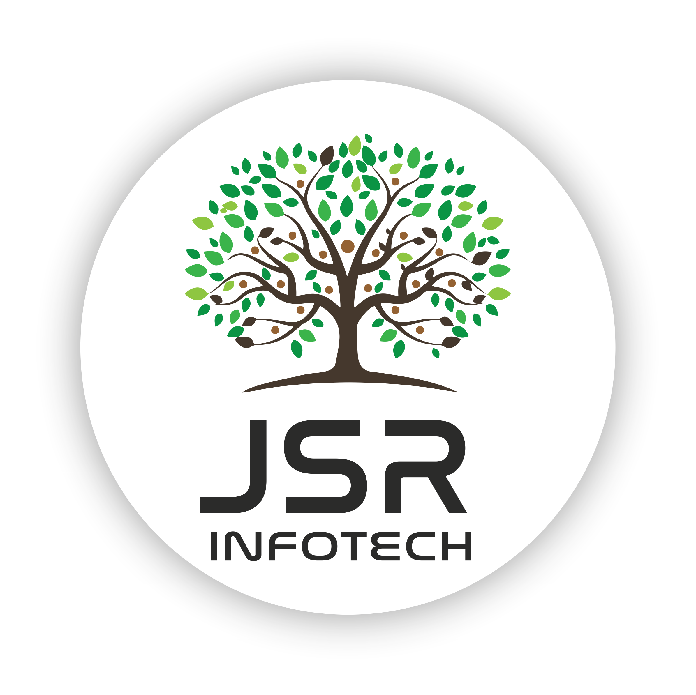 Jsr Info Techservice